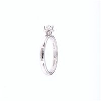 Anello Damiani Donna Minou in Oro bianco Diamante 0.25 Ct 20087594 - 20087594